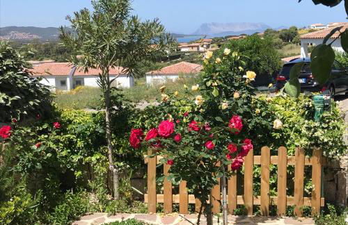 Frank's Home - Foto 4