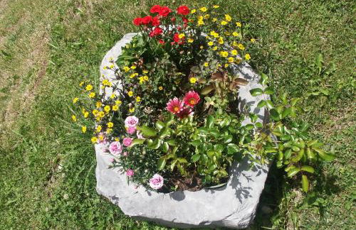 Aria D'Bosch - Foto 25