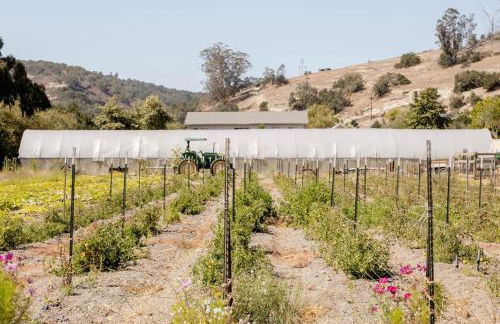 Wild Hair Studio-stylish Farm Stay W Ev Charger - Foto 20