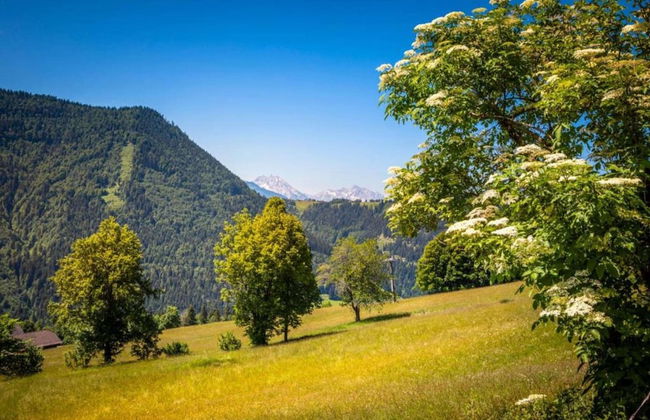 Apartment in Krispl Near Hiking Trails - Foto 22