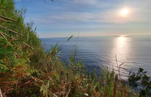 LUXURY CASA MILA Pure Azores - Photo 79