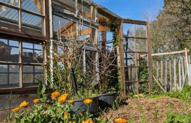 roulotte à la mauvaise herbe - Foto 14