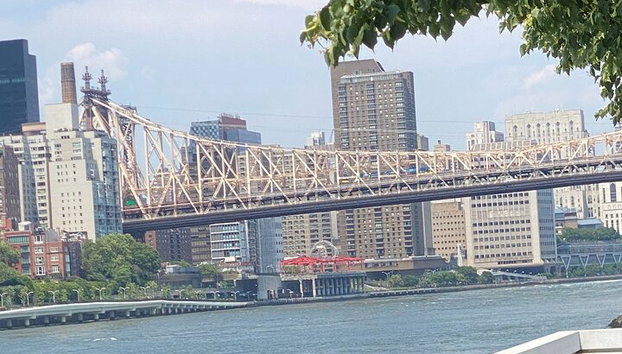 Roosevelt Island: An Audio Tour by a Filmmaker - Photo 4