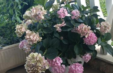 Feel Good Apartment Rab Mundanije 131 - Foto 24