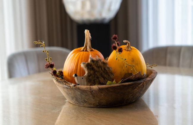 Beaunita: Luxe Stay in Hamont - Foto 31