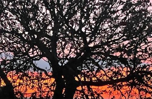 Poachers Hut 1-Bed Cottage Sleeps 2 Pet Friendly - Foto 24