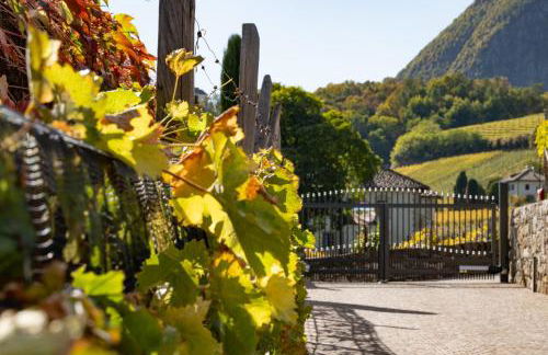 Weingut Gasshof - Foto 58