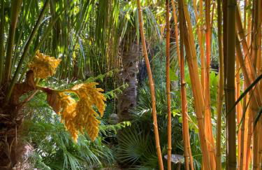 Jungle Cabin - Foto 31