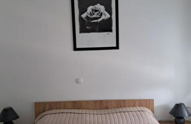 Studio apartman Rose - Foto 9