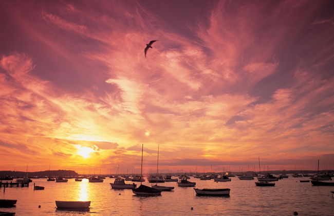 Seas the Day - Foto 34