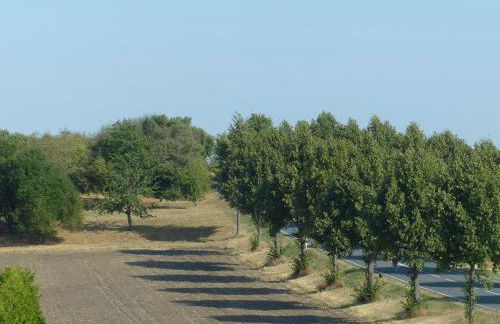 Ferienwohnung mit Brockenblick - Foto 58