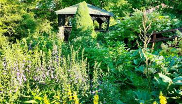 Agroturystyka JAGODA - Foto 2