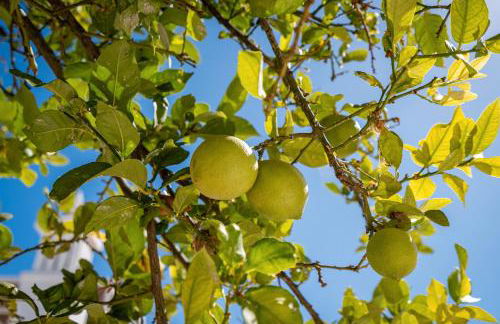 Casa Cisterna - Foto 26