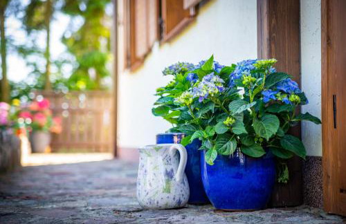 Widokówka 13 - Photo 36