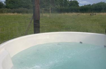 The Shepherds Hut - Foto 16