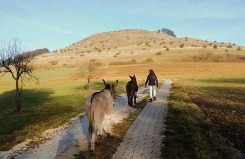 Ferienhof am Ipf - Foto 12