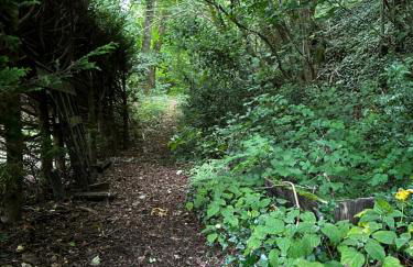 Coed Y Ddraig - themed 3 bedroom cottage, with bar & pool table - Photo 40