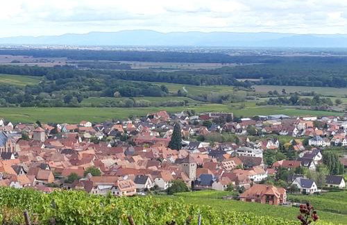 Gite premium, au Cœur de l'Ours - Foto 34