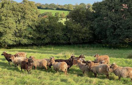 The Barn at Middle Farm and Cottages - Foto 42