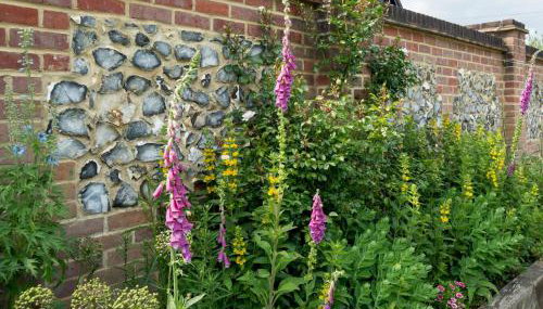 Chilterns Farm Cottage Hideaway Pass the Keys - Foto 5, Other