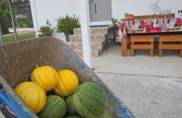 Countryside apartments ground floor - Foto 39