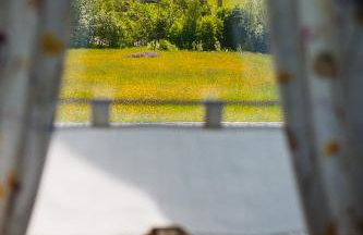 Domki Zielone Wzgórze 606-819-046 - Foto 47