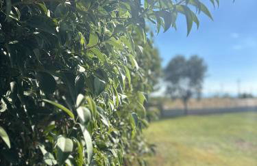 La Casa Pacifica - Foto 28