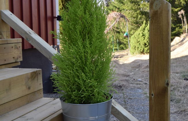 Vänern Property apartments - Foto 15