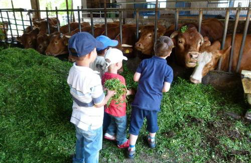 Ferienwohnung Schwabenhof - Foto 9