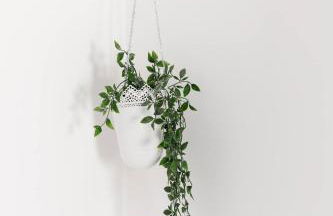 Central quiet cottage Walk to shops, bars & beach - Foto 20