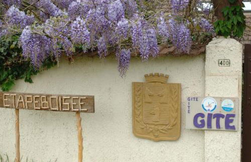 CHALET Meleze Etapeboisee - Foto 23