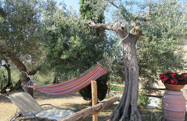 La Collina Fiorita - Photo 3