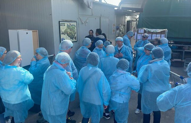 Bologna: Parmesan, Wine, Vinegar With Transfer And Lunch - Photo 1