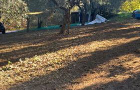 Giardino degli ulivi - Foto 37