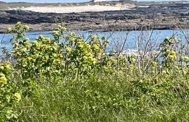 Appartement Océane - Photo 38