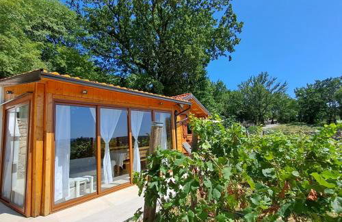 Vineyard house - Foto 3