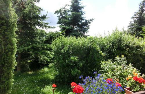 Ferienhaus in Cattenstedt Harz mit Garten - Foto 23