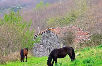 Apartamentos La Cueva - Onis - Photo 21