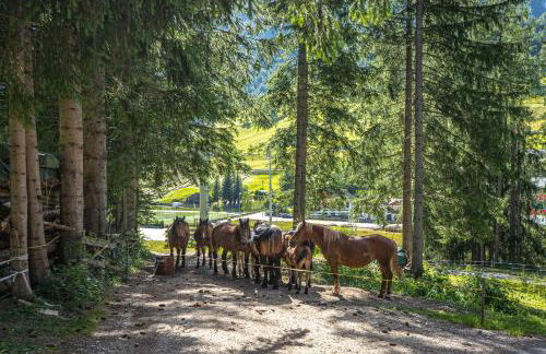 Apartements Precalalt - Foto 69