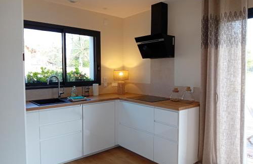 Maison neuve avec piscine chauffée, 4 kms de Contis plage - Foto 14