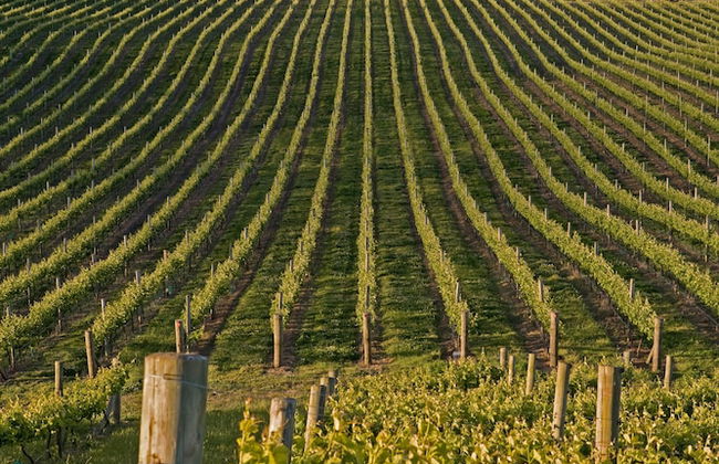 Millar Road - Photo 37