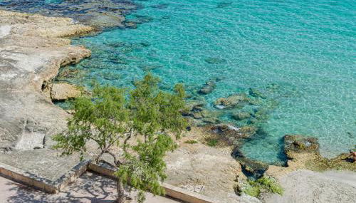 YourHouse Ocean - Foto 3