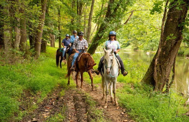 Springmaid Mountain - Foto 43