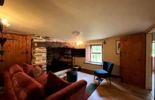 Cosy Cottage in Wild Countryside by Llys-y-Fran - Foto 8