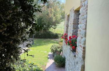 Monte Pagliaio - Foto 11