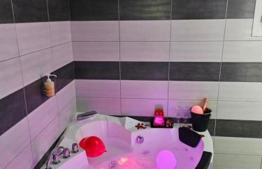 Villa avec baignoire balnéo véranda & jardin - Foto 2