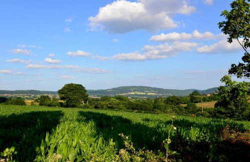 Steppes Farm Cottages - Foto 55