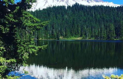 Lakeside Log Cabin! Blessings & Memories Abound! - Foto 17