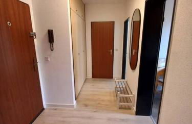 Dora - Dein Zuhause auf Zeit- 2 Zimmer 4 Betten - Foto 3