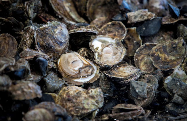 Holiday Home Monika - Foto 26